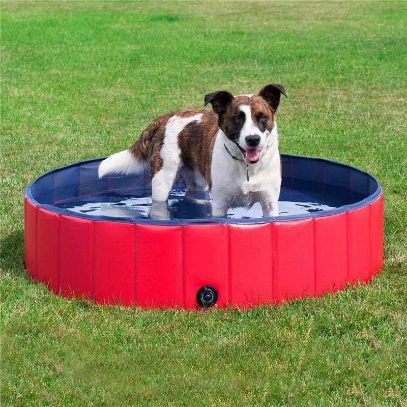 Pet inflatable bath tub