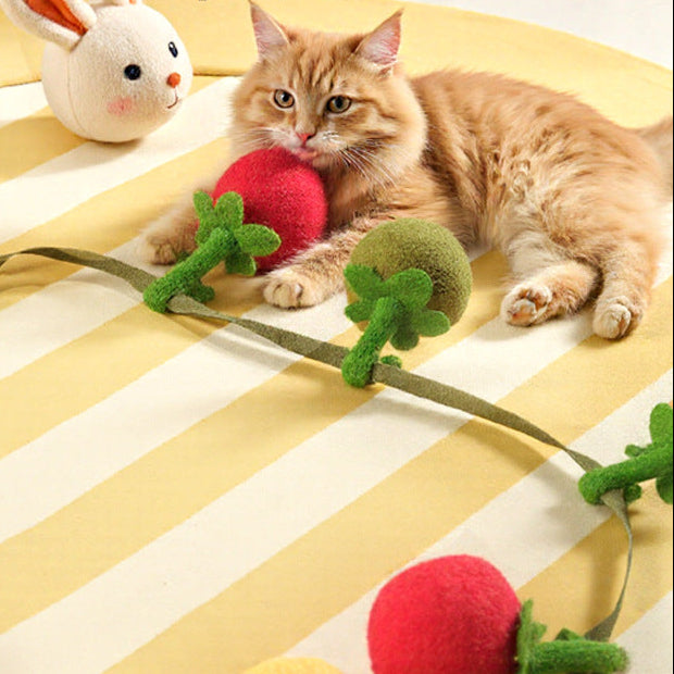 Cat toy tomato teaser stick