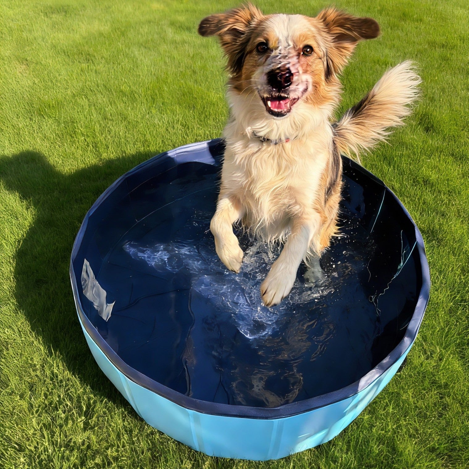 Pet inflatable bath tub