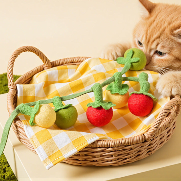 Cat toy tomato teaser stick