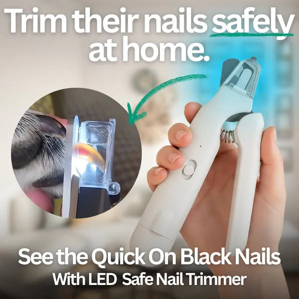 2 in 1 Dog Nail Clippers